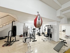Gimnasio